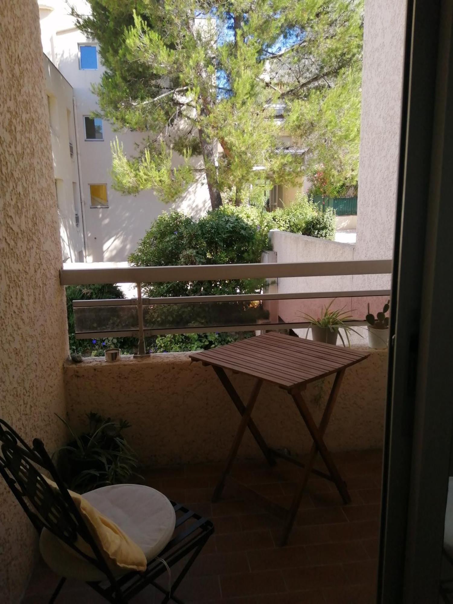 Studio Climatise Dans Residence Avec Piscine Et Tennis Hyères Eksteriør billede